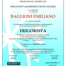 Professionisti del freddo